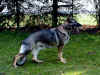 Catja_Standbild.JPG (67689 Byte)