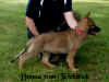 D-WurfDSC00496.jpg (132463 Byte)