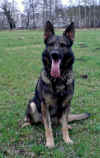 DSC00325_AscoMaerz08.jpg (185368 Byte)