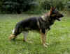 JaskoStand_Aug2005.jpg (76783 Byte)