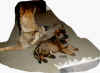 Joey01.jpg (99267 Byte)