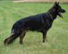 Joey_Juli.06r.jpg (70189 Byte)