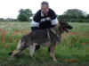 k-2Mohnwiese-Bilder 036.jpg (167400 Byte)